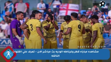 مشاهدة مباراة قطر وغرناطة الودية بث مباشر الآن – تعرف على القنوات الناقلة